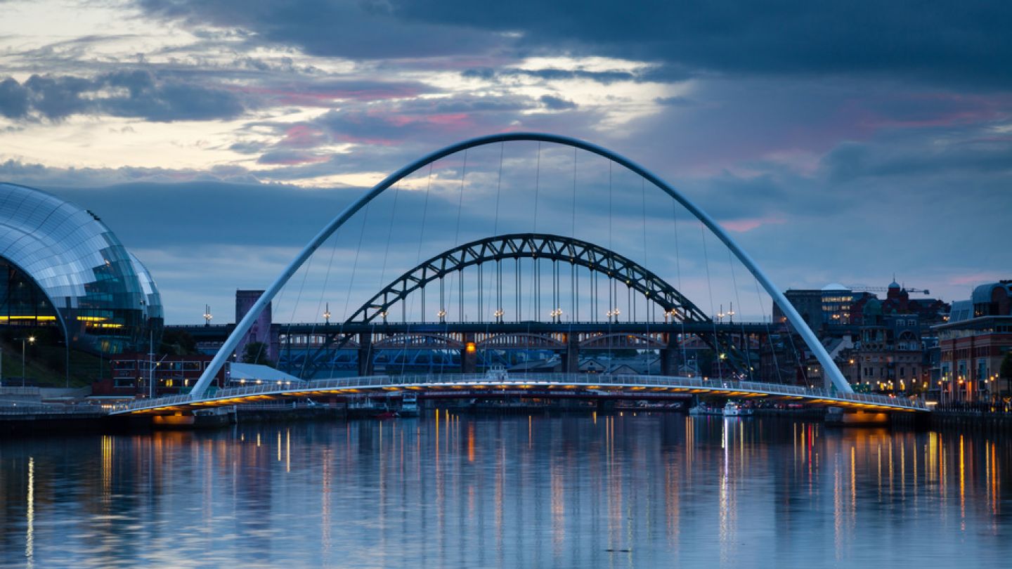 Pest Control Companies Newcastle